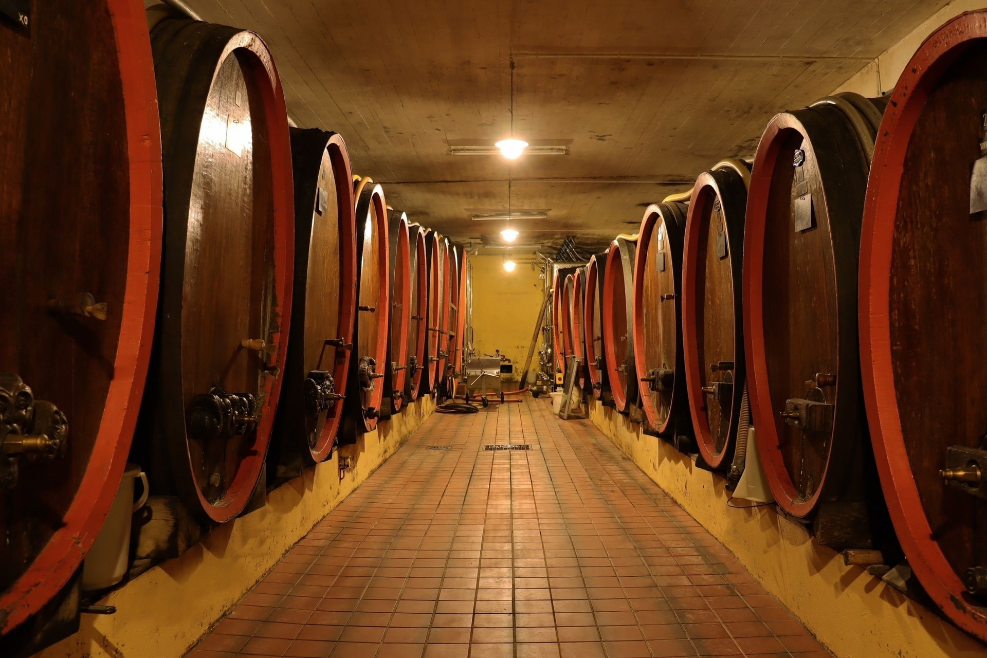 Cave à vin d'Alsace avec fûts de chêne