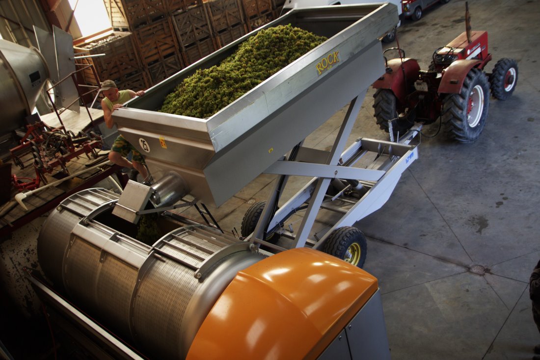 Vendanges au domaine 