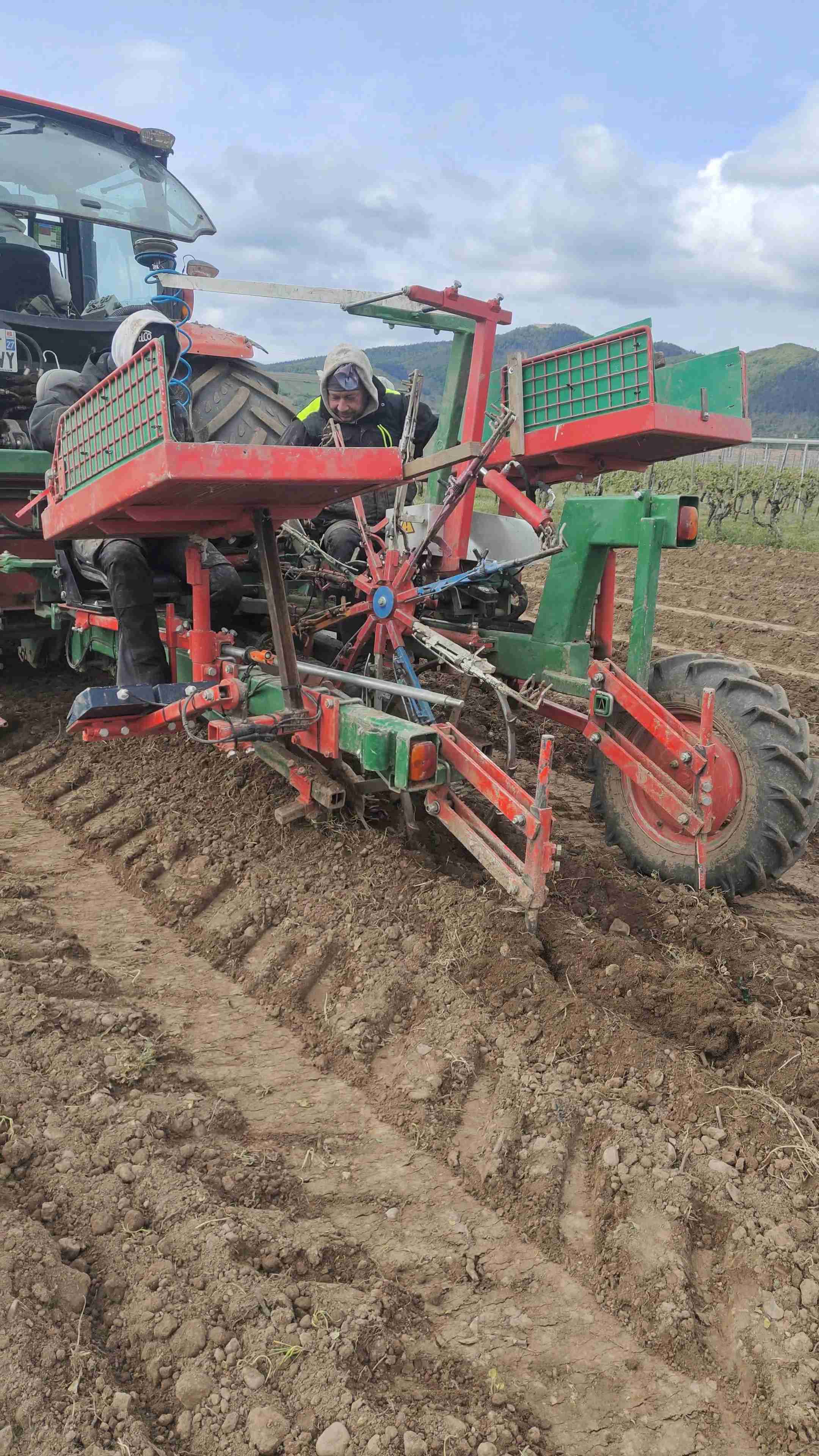 Plantation Pinot Noir 