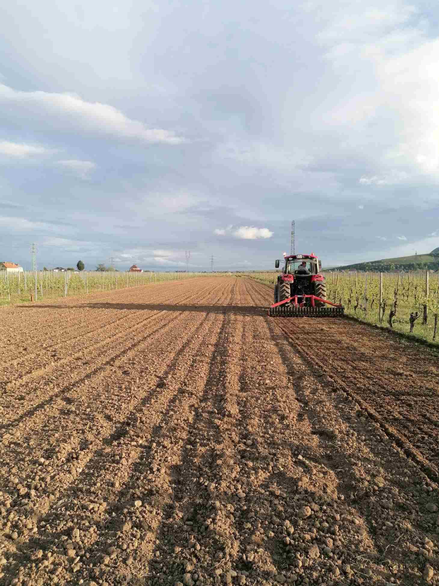 Plantation Pinot Noir 