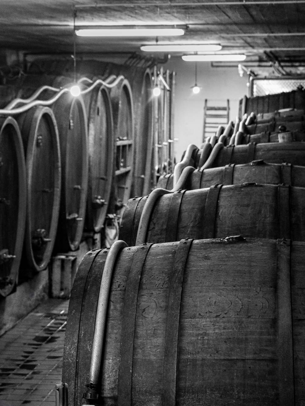 Remplis de vin et chargés d'histoire... 