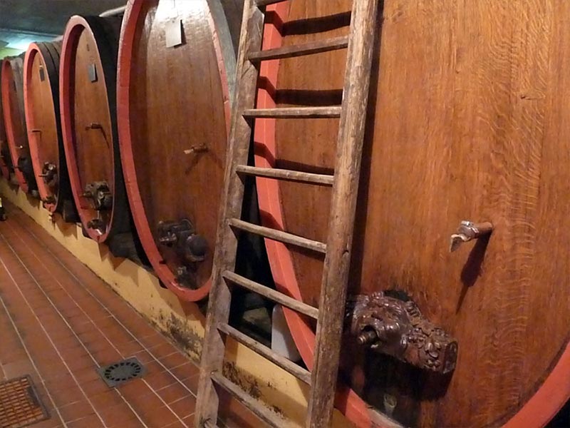 Vins d'Alsace vinifiés en fûts de chêne