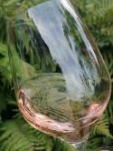 Pique nique entre Vignes et Forêt